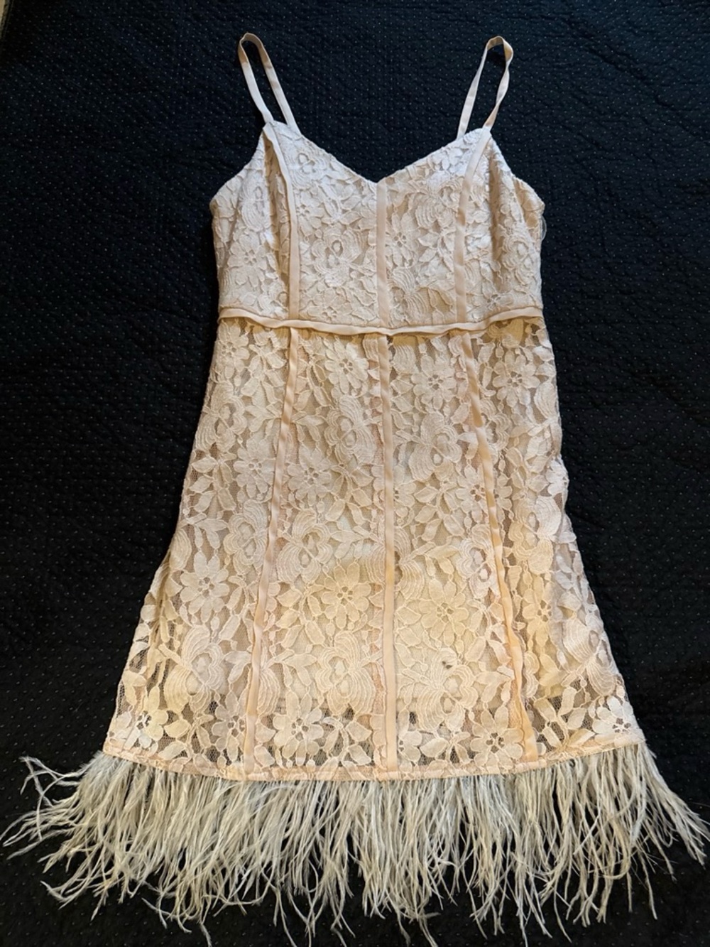 Gianni Bini Blush Lace Mini Dress with Feather Hem